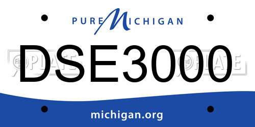 DSE3000 Michigan License Plate