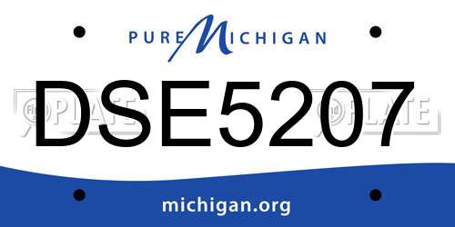 DSE5207 Michigan License Plate