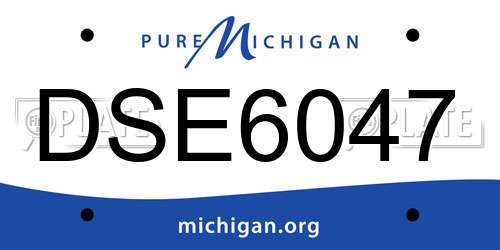 DSE6047 Michigan License Plate