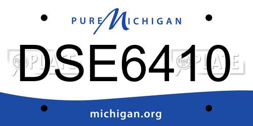 DSE6410 Michigan License Plate