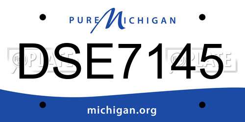 DSE7145 Michigan License Plate