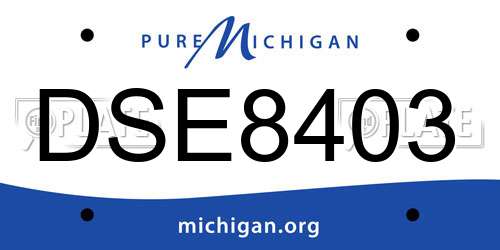DSE8403 Michigan License Plate