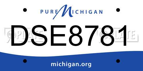 DSE8781 Michigan License Plate