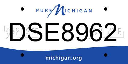 DSE8962 Michigan License Plate
