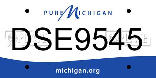 DSE9545 Michigan License Plate