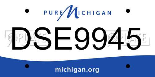 DSE9945 Michigan License Plate