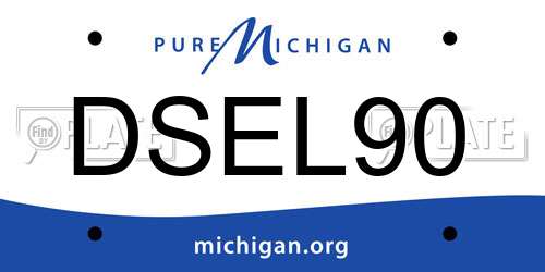 DSEL90 Michigan License Plate