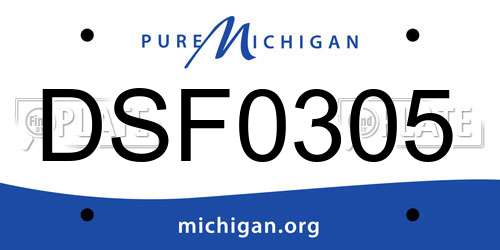 DSF0305 Michigan License Plate