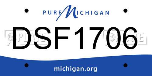 DSF1706 Michigan License Plate