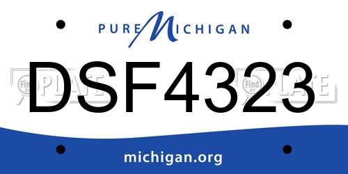 DSF4323 Michigan License Plate