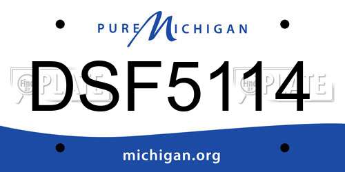 DSF5114 Michigan License Plate