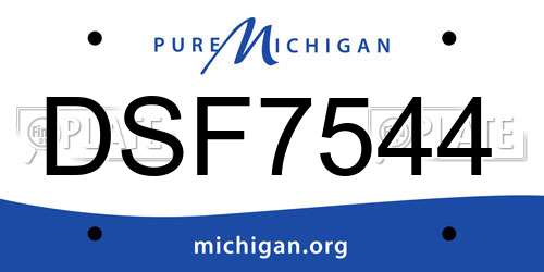 DSF7544 Michigan License Plate