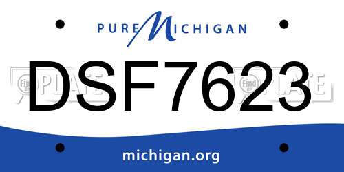 DSF7623 Michigan License Plate
