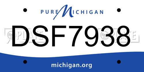 DSF7938 Michigan License Plate