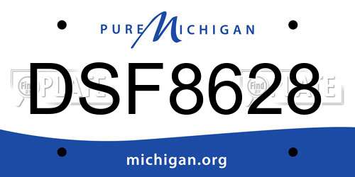DSF8628 Michigan License Plate