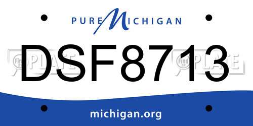 DSF8713 Michigan License Plate