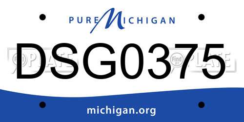 DSG0375 Michigan License Plate