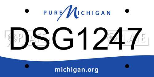 DSG1247 Michigan License Plate