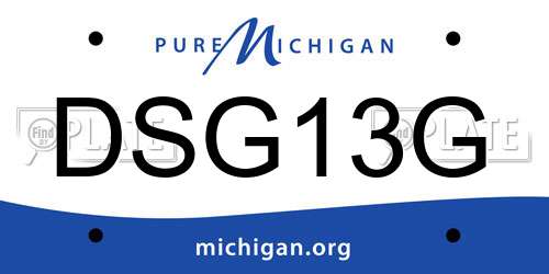 DSG13G Michigan License Plate