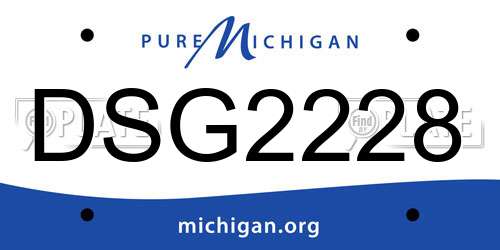 DSG2228 Michigan License Plate
