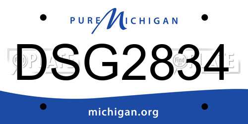 DSG2834 Michigan License Plate