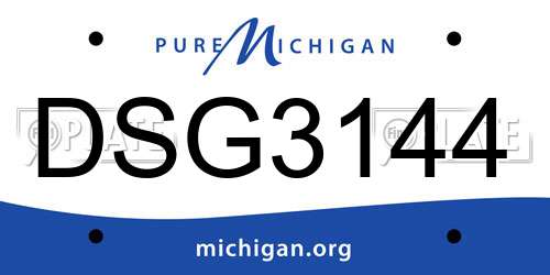 DSG3144 Michigan License Plate