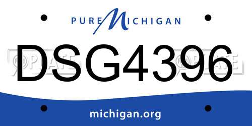 DSG4396 Michigan License Plate