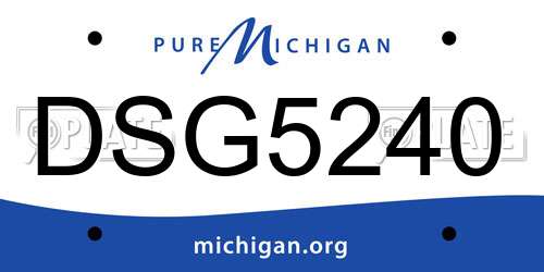 DSG5240 Michigan License Plate