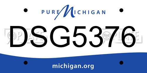 DSG5376 Michigan License Plate
