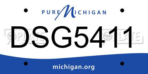 DSG5411 Michigan License Plate
