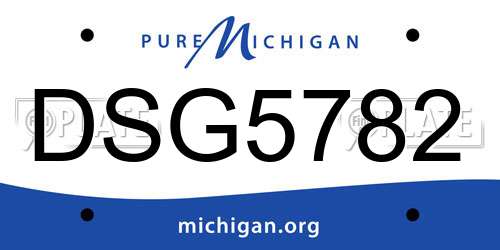 DSG5782 Michigan License Plate