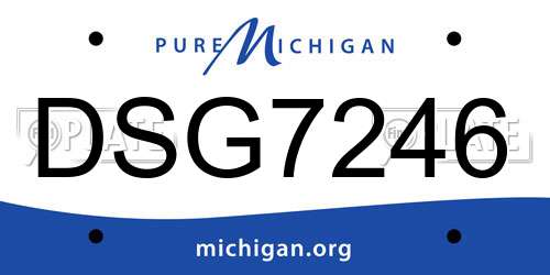 DSG7246 Michigan License Plate