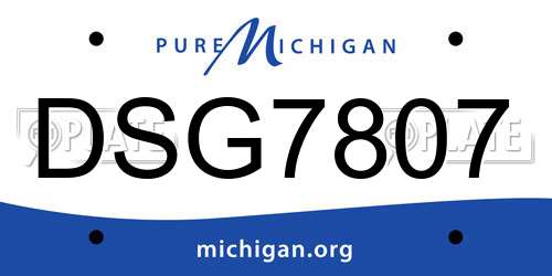 DSG7807 Michigan License Plate