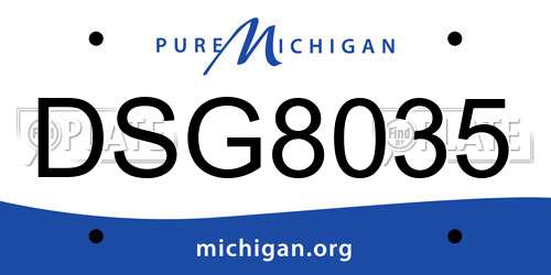 DSG8035 Michigan License Plate