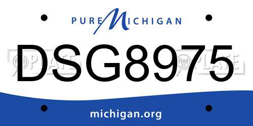 DSG8975 Michigan License Plate