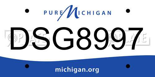 DSG8997 Michigan License Plate