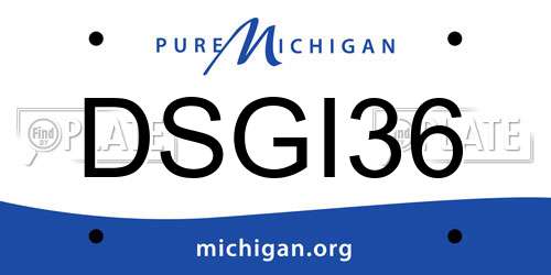 DSGI36 Michigan License Plate