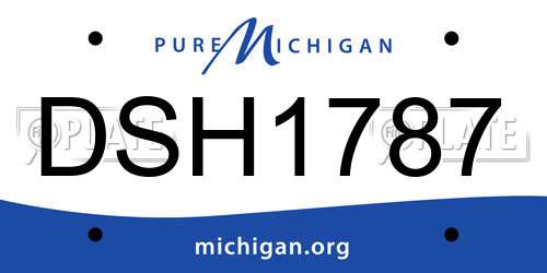 DSH1787 Michigan License Plate