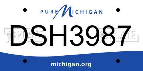 DSH3987 Michigan License Plate