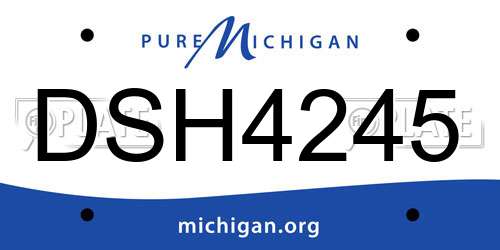 DSH4245 Michigan License Plate
