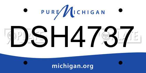 DSH4737 Michigan License Plate