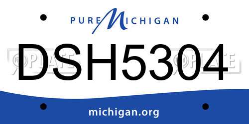 DSH5304 Michigan License Plate