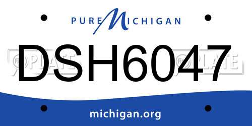 DSH6047 Michigan License Plate