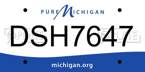DSH7647 Michigan License Plate