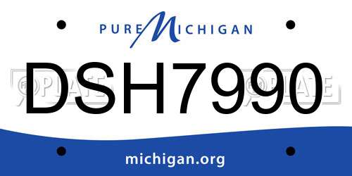 DSH7990 Michigan License Plate