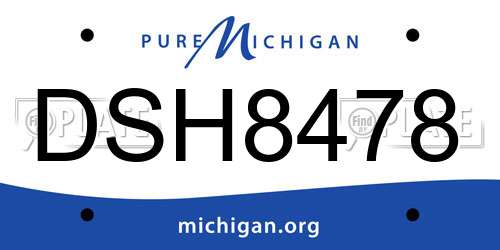DSH8478 Michigan License Plate
