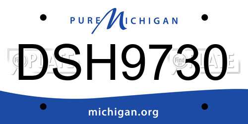 DSH9730 Michigan License Plate