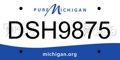 DSH9875 Michigan License Plate