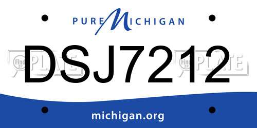 DSJ7212 Michigan License Plate