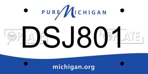 DSJ801 Michigan License Plate